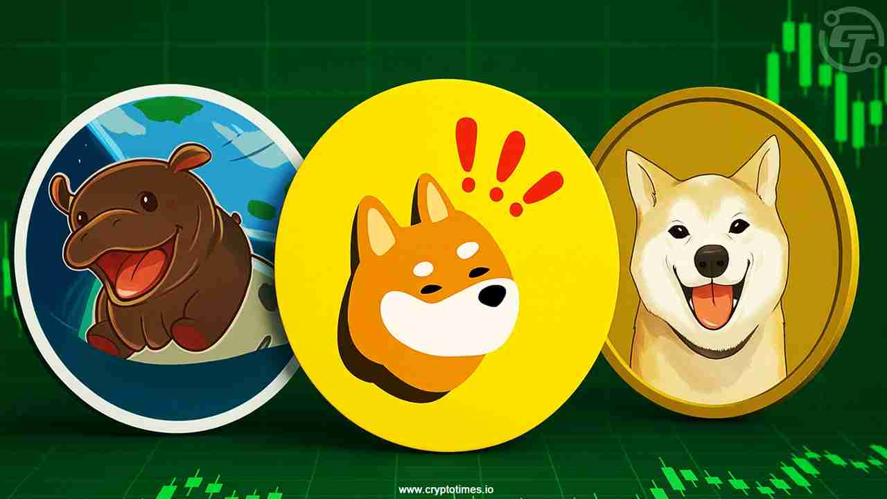 Moo Deng、Neiro、Bonk闪耀:迷因币狂潮席卷加密货币市场!